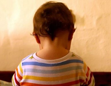 Miniatura: Ośmiolatek od tygodnia uwięziony na...