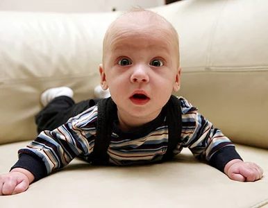 Miniatura: Olsztyńskie biblioteki przyjmują nawet...