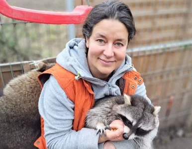 Miniatura: Kulisy afery w poznańskim zoo. Skłóceni...