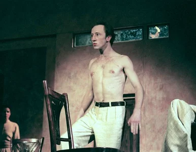 Miniatura: Teatr jak kino. Projekcje spektakli...