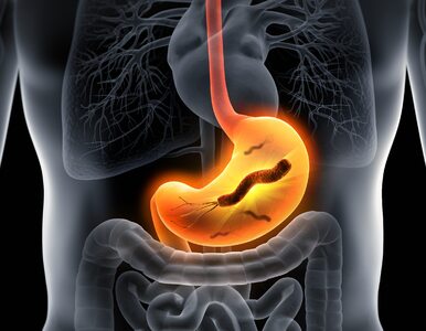 Miniatura: Ta bakteria powoduje raka żołądka....