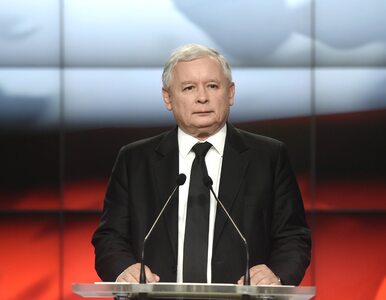 Miniatura: Kaczyński: Pani premier nierzadko nam pomaga