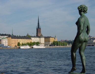 Miniatura: Seksafera w szwedzkim rządzie