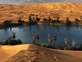 Miniatura: Nowy ocean powstaje w sercu Afryki....