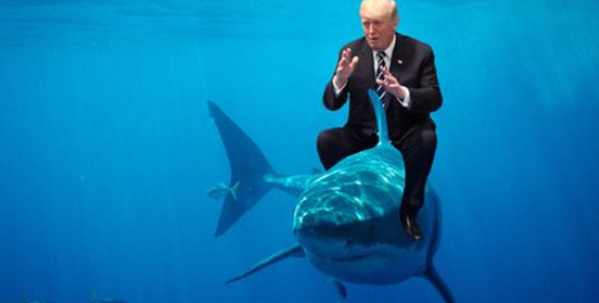 Donald Trump pisze o „księciu wielorybów”. Internauci odpowiedzieli memami 
