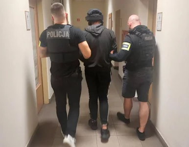 Miniatura: Chciał być jak Tadeusz D. Szokująca...