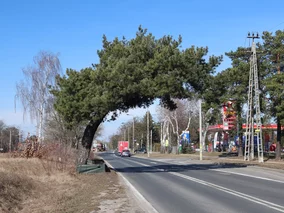 Miniatura: „Brama do miasta” z nagrodą. To niezwykłe...
