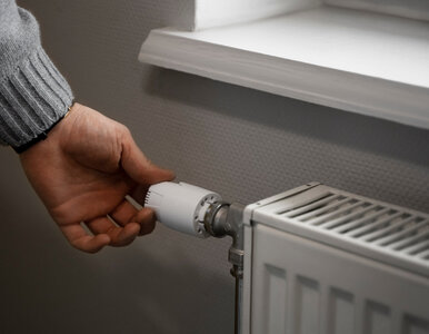 Miniatura: Jak ustawić grzejnik, żeby płacić mniej za...