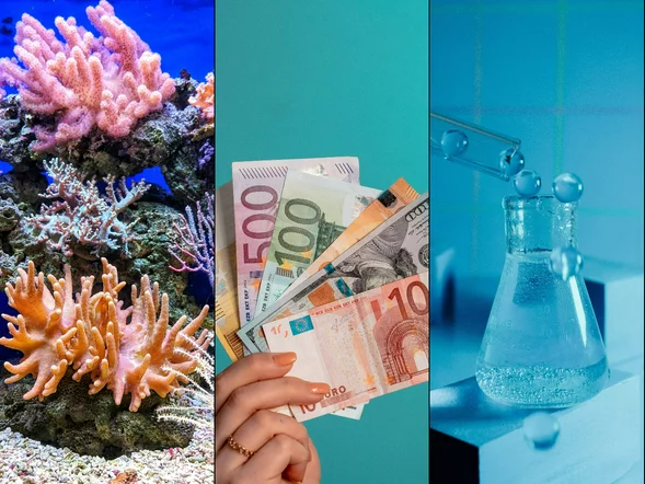 Miniatura: QUIZ z wiedzy ogólnej dla bystrych....