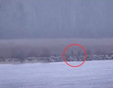 Miniatura: Trzech rosyjskich strażników weszło na...