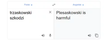 Tłumacz Google i fraza „trzaskowski szkodzi” 