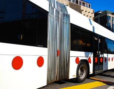 Miniatura: Więzienie dla upartego gapowicza