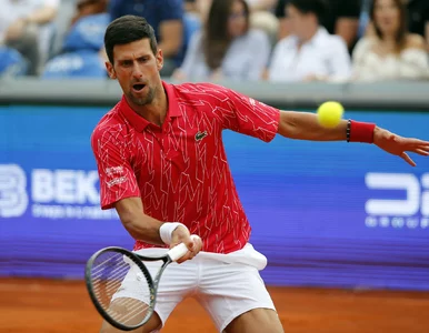 Miniatura: Novak Djoković zakażony koronawirusem....