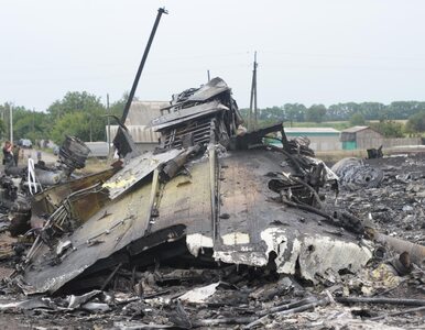 Miniatura: Katastrofa MH17: Holendrzy mają dowód na...