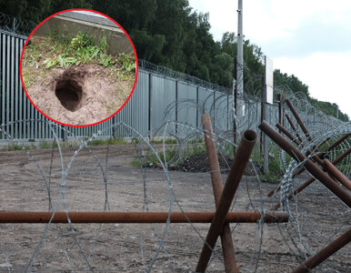 Miniatura: Zaskoczenie na granicy...