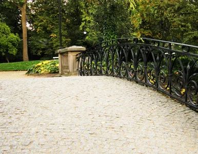 Miniatura: Buraki, biżuteria i wolne jedzenie....