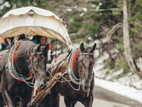 Miniatura: Co z końmi z Morskiego Oka? „Złamanych...