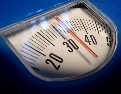 Miniatura: Tajlandzkie władze odchudzą buddyjskich...