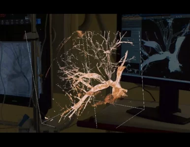 Miniatura: Polska firma podbija światowy sektor...