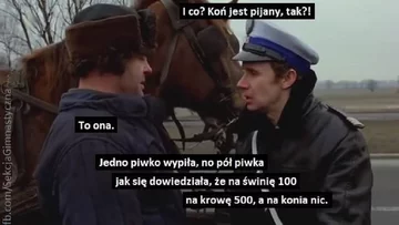 Memy po zapowiedziach o programie "500 plus dla krów" 