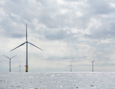 PKN ORLEN wraz z kanadyjskim partnerem zbuduje farmy wiatrowe na Bałtyku