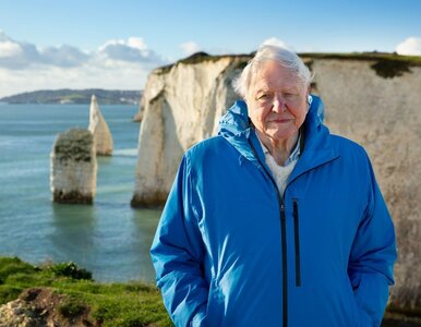 Miniatura: 99-letnia legenda znów na ekranie. Prace...