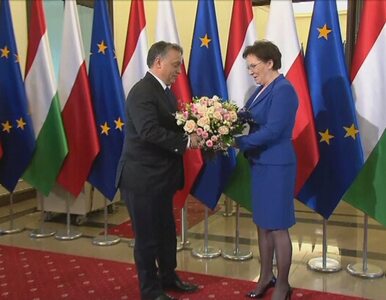 Miniatura: Premier Orban na rozmowach u premier Kopacz