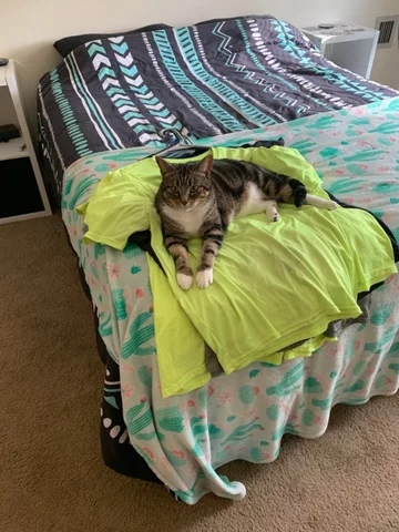 Jeśli były czyste i wyprasowane, to już nie są 