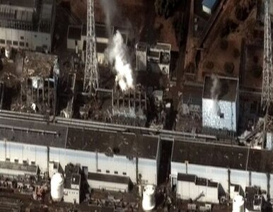 Miniatura: Japonia po katastrofie w Fukushimie...