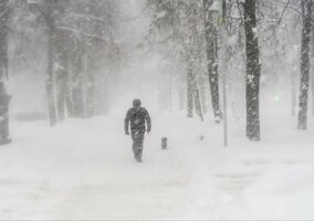 Miniatura: Zima tylko „wpadła na chwilę”? Ekspert...