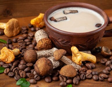 Miniatura: Jak zrobić grzybowe cappuccino? Wyśmienity...