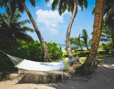 Miniatura: To nie będzie łatwy quiz. Sprawdź swoją...