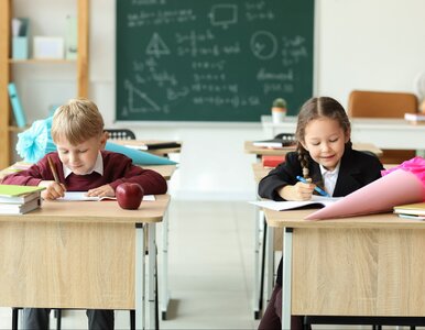 Miniatura: 10 pytań rodem ze szkoły. Nie znasz...
