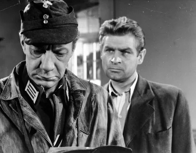 Miniatura: Polski aktor przed laty był obsypywany...