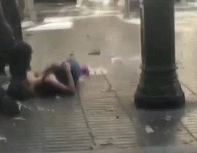 Miniatura: Terroryści nie wygrają