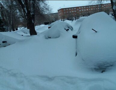Miniatura: „Śnieżna apokalipsa”. Miasto przykryły...