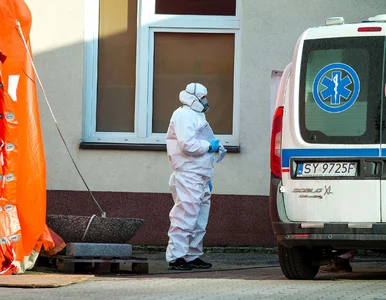 Miniatura: Ponad 21 tys. nowych przypadków...