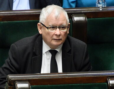Miniatura: Kaczyński zdradził, kiedy odbędzie się...
