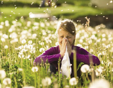Miniatura: Lato z hitem na alergię!