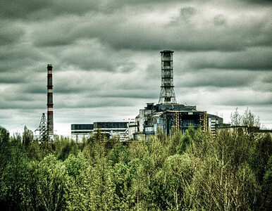 Miniatura: Walczyli z Czarnobylem, głodują. "Jesteśmy...