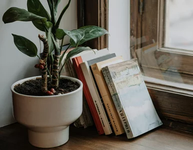 Miniatura: Znasz te polskie idiomy? W pytaniu 5....