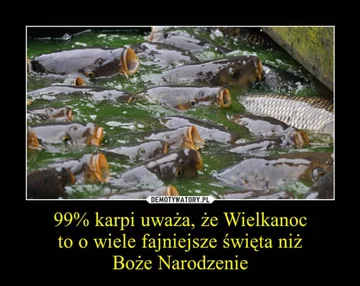 Świąteteczne memy 