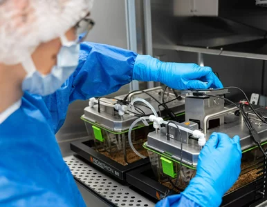 Miniatura: IN-MOL-CELL: Nowa era badań biomedycznych...