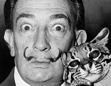 Miniatura: Salvador Dali trafi do filmu