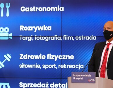 Miniatura: Kościński: Finanse publiczne są we...