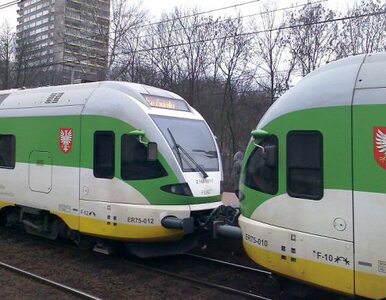 Miniatura: Koleje Mazowieckie kupiły 16 nowych pociągów