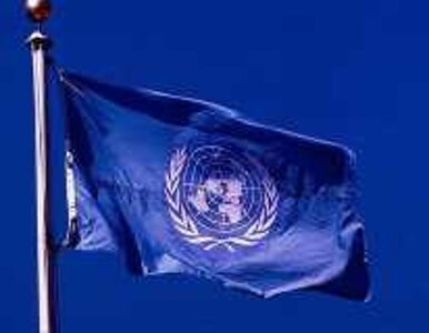 Miniatura: RB ONZ: Rosja zablokowała deklarację ws....