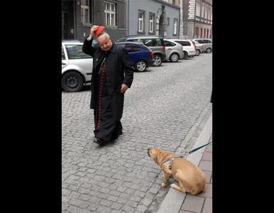 Miniatura: Kto ukłonił się psiakowi? Zdjęcie roku...