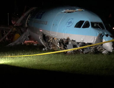 Miniatura: Samolot roztrzaskał się chwilę po...