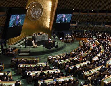Miniatura: Donald Trump na forum ONZ chwalił...